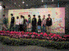flower show2004 171.jpg